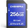 DIGIERA Scheda di Memoria SDXC UHS-I LS100 da 256 GB - Fino a 170 MB/s, C10, U3, V30, 4K UHD, per Computer, Fotocamere Digitali, Dispositivi Home Theatre, Navigatori Auto (Confezione da 1)
