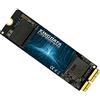 KINGDATA SSD Interni NVMe PCIe 256GB per MacBook Aggiornamento, Unit?stato solido per MacBook Air A1466 A1465/MacBook Pro A1398 A1502(Retina)/iMac A1419 A1418 (2013 2015 2017)