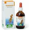 alta natura Gemmavis ribes nero gemmoderivato 50 ml
