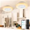 SWANEW Ventilatore da Soffitto con illuminazione Luce, 2pcs 80W Plafoniera con Ventilatore LED Dimmerabile con Telecomando e App, Modalità Estate e Inverno 3000-6500K, 6 Velocità (φ55cm)