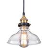 TOKTOP - Lampadario a Sospensione in Vetro, Lampada da Soffitto Vintage per Interni, Paralume Trasparente per Salone, E27 Lampadario per Camera da Letto, Cucina, Sala da Pranzo