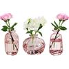 KMERCE 3pcs Vasi vetro decorativi, Piccolo vaso per la decorazione da tavolo per fiori, da Centro Tavolo Matrimonio, battesimo, compleanno, regali per la festa, Rosa