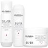 Goldwell Dualsenses Silver Shampoo 250ml Conditioner 200ml Treatment 200ml