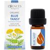 Essences Bulgaria Olio Essenziale Di Tanaceto Blu Biologico 5 ml | Tanacetum Annuum | 100% Puro | Naturale | Non Diluito | Grado Terapeutico | Aromaterapia | Cosmetico | Cruelty Free | Non OGM