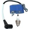 AOLUOER Bobina di accensione for E//c//h//o BRD-280 PAS-280 PE-280 PPF-280 PPF-300ES PPT-280 PPT-300ES SRM-280 SRM-280S SRM-280t SRM-280U A411000312