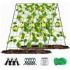 Whychstore Supporto per piante rampicanti, set di tralicci pieghevoli per cetrioli, struttura rampicante per piante rampicanti all'aperto, pomodoro, zucca, piselli, fiori