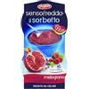 CAIYA Sensofreddo il Sorbetto Cremoso con Succo di Melograno e Frutti di Bosco Pronta da Gelare Senza Glutine, confezione compatibile con dolfin 200ml