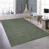 Teppich-Traum Tappeto Shaggy con pelo alto e lungo | OEKO-TEX | lavabile | in verde Dimensione 160x220 cm