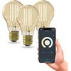 CALEX Lampadina LED Smart, E27, A60, Filamento Oro, luce calda, Dimmerabile, controllo app Wi-Fi & vocale, Confezione da 3