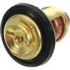 ZYPMoTo Termostato e Guarnizione compatibili con i Modelli di Motori fuoribordo OMC 484841 734841 5005440 Sierra 18-3553 Motore per Barche 60 ℃ 143 ℉