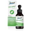INCREASE Liposomiale clorofilla goccia ad alto dosaggio - (30.000 mg di clorofilla per confezione) 1000 mg per dose giornaliera - Olio MCT - Alta biodisponibilità