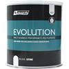rio verde RENNER EVOLUTION 2,5 L - 00 COTONE - SMALTO MULTISUPERFICIE ALL'ACQUA