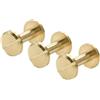 POQAX 10 viti in ottone massiccio con filettatura M2, rivetti di rilegatura con tappo rotondo da 6 mm for elementi di fissaggio di album fotografici(10mm)