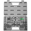 QUARKZMAN 39 Pezzi Set Di Maschi E Filieri Metrico M3-M12 Kit Di Attrezzi Per Filettatura Maschi Filieri Chiavi Porta Maschi Porta Filieri Con Custodia Per Filettatura Maschile E Femminile