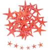 QUARKZMAN 30Pcs Stelle Marine per, 0.4-0.8 Piccole Stelle Marine Naturali Conchiglie all'Ingrosso PerParty A Tema Spiaggia E MatrimoniPer La Casa Vasi DIY, Rosso