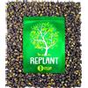 REPLANT Pepe di Timut 110g - Grand Cru Nepal 2025 - Bacca intera - Famiglia Pepe di Sichuan - Borsa di ricarica macina FreshZIP REPLANT