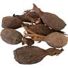 RMY Manigola intera, Baccello di peperoncino della Guinea, (semi di paradiso) peperoncino alligatore o pepe alligator-6/ PCS -