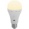 newgarden Lapera - Lampadina portatile ricaricabile E27 per interni, LED integrato, 350 lumen, 3 temperature di colore, regolabile, con telecomando, timer, USB-C, IP20