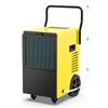 DAHTEC Deumidificatore Elettrico Professionale (max 50 L/24h), con Pompa Integrata e Scarico Automatico, Ideale per Casa, Cantine e Locali fino a 150 m²/380 m³