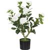 HOMCOM Pianta Artificiale di Camelia 65 cm, Albero Artificiale in Vaso con Fiori in Seta Realistici e 116 Foglie, Effetto Muschio, Bianco | Aosom Italy