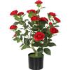 HOMCOM Pianta Artificiale di Camelia 65 cm, Albero Artificiale in Vaso con Fiori in Seta Realistici e 116 Foglie, Effetto Muschio, Rosso | Aosom Italy