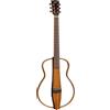 Eko Chitarra Silent Eko One S150e Folk Acustica Portatile Professionale Nuovo