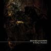 Deva Noctua Entropia Be Sinking in Marshland (CD) Album