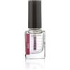 nail system ALL IN ONE Hardener - Base - Top NAIL SYSTEM - 10 ml
