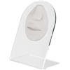 dormouse selection WHITE ANATOMIC DISPLAY LIPS