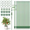 SINAYREK Tutore per Piante 12 Pezzi, 33 cm Verde, Tutori per Piante da Interno, Piante in Vaso, Fiori, Erbe, Giardino e Supporto Pomodori