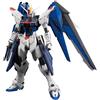 BANDAI Gundam Master Grade MG Model Kit Freedom Ver 2.0 1/100 Bandai