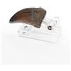 TOYNAMI Jurassic Park Statua T-rex Hand Claw 13 Cm Toynami