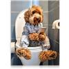 Dazzlewall Arte Murale Divertente per Bagno con Animali, Dipinto su Tela di Cane che Gioca con il Telefono sul Water, Decorazione per Bagno, 12x16 pollici Senza Cornice