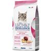MONGE & C. SpA Excellence Kitten - 1,50KG