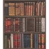 Rasch Libri di biblioteca Carta da parati - 934809