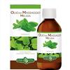 Erba Vita MELISSA OLIO MASSAGGIO 250 ML