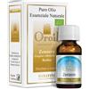 Fiore D'Oriente ZENZERO OLIO ESSENZIALE 10ML