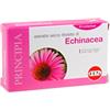 KOS Srl Kos Echinacea Estratto Secco Integratore Alimentare 60 Compresse