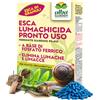 Albagarden - Esca Lumachicida Pronto Uso - Fosfato Ferrico Elimina Lumache e Limacce - Resistente alla Pioggia - Polvere x 200 gr