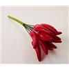 Fiorellini e complementi 144 PZ Peperoncino Peperoncini rossi DECORAZIONE BOMBONIERA LAUREA