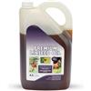 Linseed Oil TRM 4,5 Litri