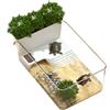 Generico Turtle Aquarium | Casa di rettili decorativi, terrario di rettile trasparente per la scuola di scienze della scuola di granchio Terrapin Educatori naturali