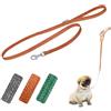 Ferplast Guinzaglio per Cani in Plastica Riciclata da Bottiglie Pet, Maniglia, Moschettone in Metallo, Larghezza 1,5 cm, Lunghezza 120 cm, S, Arancio