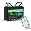 Dyness Batteria LiFePO4 12V 100Ah Bluetooth, Mini Batteria al Litio con BMS 100A, Protezione a Basse Temperature, per Nautica, Camper, Impianti Solari off-grid