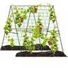 KMQRDZi Supporto per piante rampicanti, adatto per cetrioli, soia, pomodori e altri tipi di verdure, così come il fiore di luna, traliccio in acciaio, lunghezza 120 cm