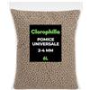 Clorophilla Pomice Vulcanica 2-4 mm per Piante - Inerte Naturale Drenante e Aerante - Substrato Professionale per Bonsai, Cactus, Succulente e Terrarium - Granulometria Fine - Made in Italy (6 Litri)