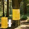 Voarge Anelli adesivi da 3 metri, per combattere le zanzare del lutto, colla per bruchi per alberi da frutto, formiche, protezione contro mosche della ciliegia