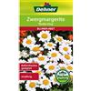 Dehner - Sementi per Fiori, Margherita Nano Anello Bianco, Confezione da 5 (5 x 1 g)