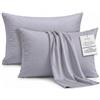 DEGREES HOME Federa per Cuscino in Microfibra Extra Morbida e Traspirante - Set da 2 Federe Anallergiche e Antipiega - Misura 65 x 65 cm