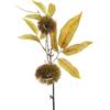 Zelda Bomboniere Ramo Castagno Ricci Frutta Artificiale Decorazioni Addobbi Allestimenti